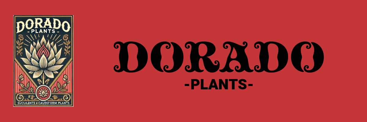 DORADO PLANTS